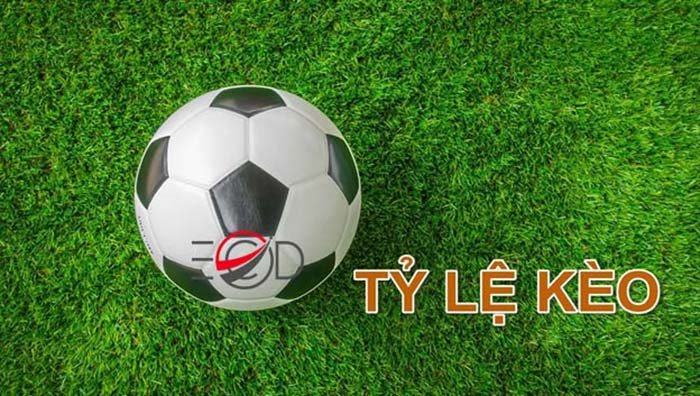 ti le keo new88 67ca6fd4a404f