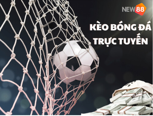truc tiep bong da new88 67ca6ef14ea04